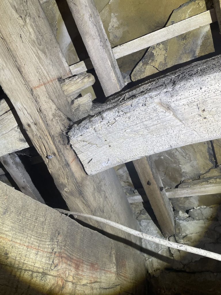 Wooden beams in Leeds showing signs of woodworm damage