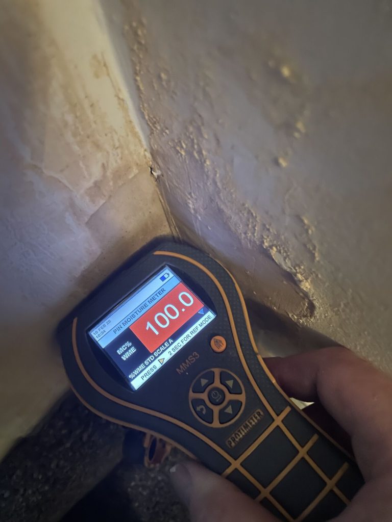 sheffield damp survey moisture meter reading Timberwise