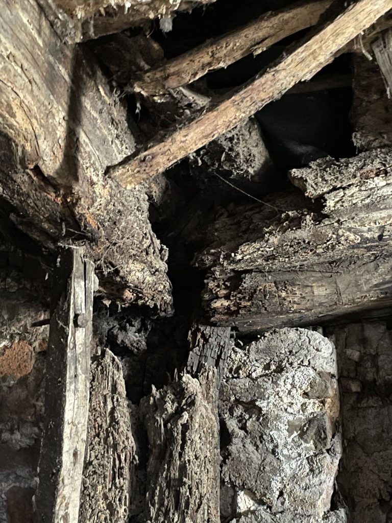 Wet Rot vs Dry Rot in Commercial Buildings: Identification & Prevention 1 Wet rot decay on structural timbers