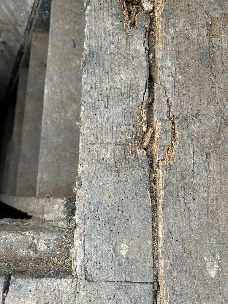 Cracked and weathered structural timbers in a property in Glasgow