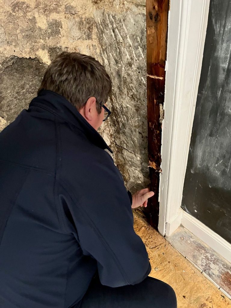 Timberwise surveyor in Edinburgh inspecting wall for dry rot.