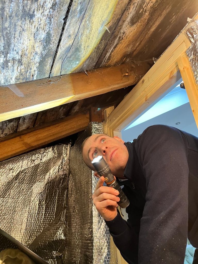 Timberwise Surveyor inspecting loft timbers with torch