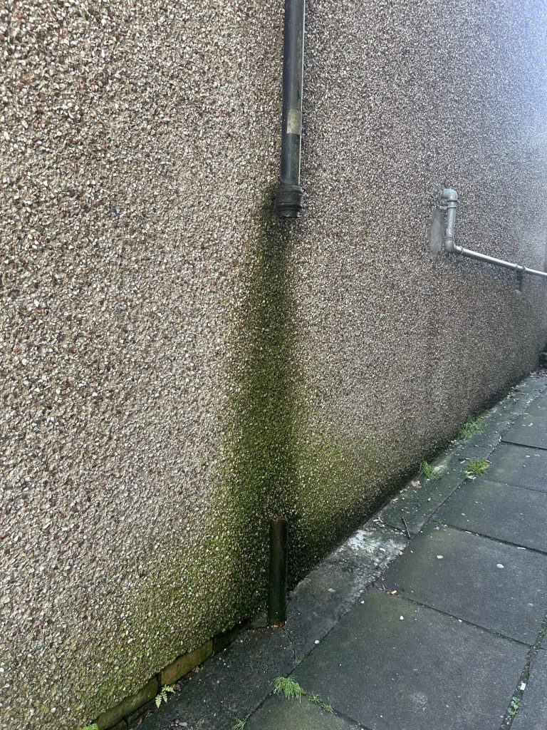 Penetrating damp in Glasgow Timberwise