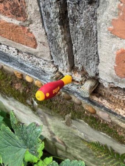 a screwdriver stuck in decayed timber