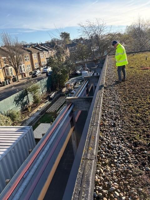 london-school-glulam-beam-survey