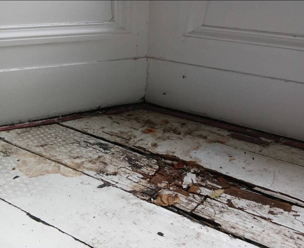Damaged wooden floor with dry rot in Edinburgh property