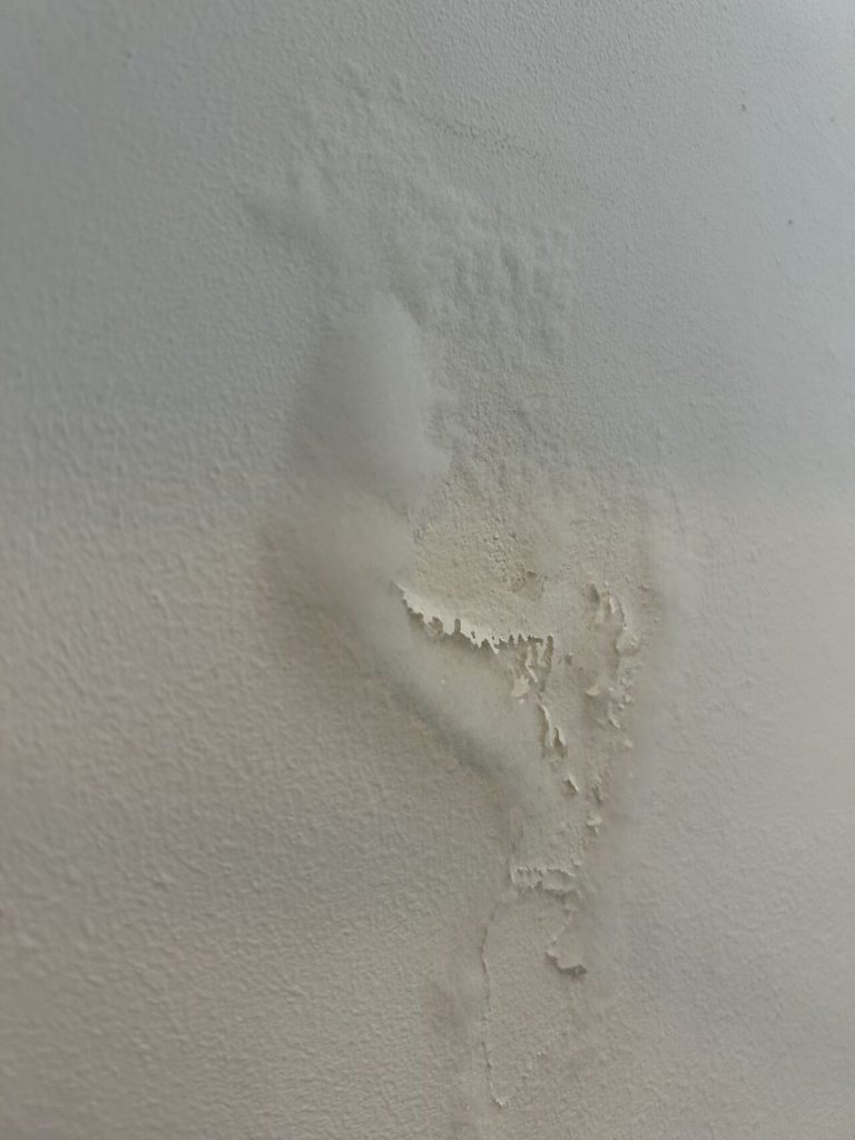 Damp damage on a wall in a Glasgow property