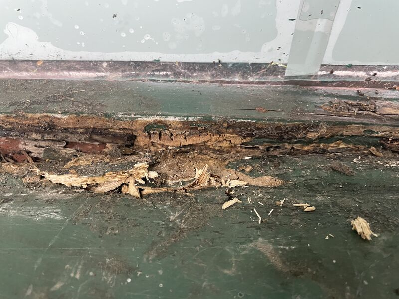 Why Timber Windows Rot and How to Prevent It 15 timber window decay