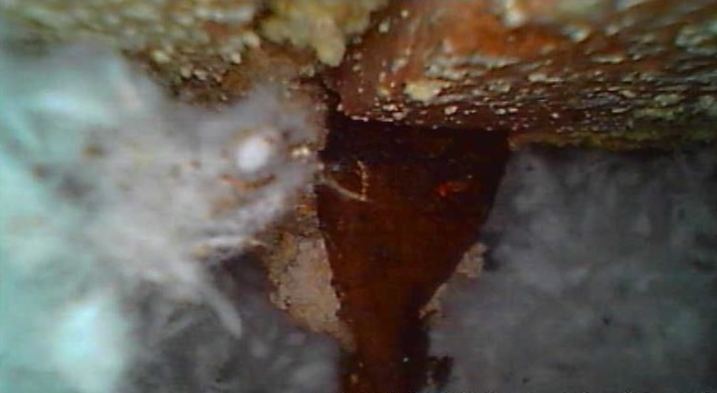 Wall Tie Failure and Structural Damage: What You Need to Know 1 rust expansion caused by a corroded wall tie