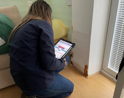 How Timberwise Protects Office Staff, Surveyors and Site Technicians Every Day 2 A surveyor examining dry rot