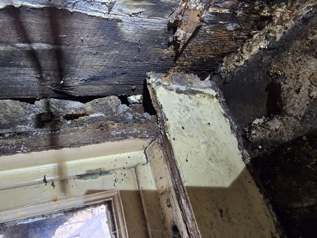Is it Better to Repair or Replace My Timber Windows? 1 fungal decay in a timber window