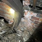 Timber and Decay Survey at a Higher Education Facility in Leeds 14 Timber and Decay Survey at a Higher Education Facility in Leeds