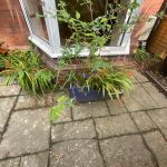 Damp and Wet Rot Survey in Swansea 17 Damp and Wet Rot Survey in Swansea