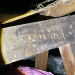 Woodworm Treatment in Bridge of Weir Glasgow | Residential Timber Preservation 6 Woodworm Treatment in Bridge of Weir Glasgow | Residential Timber Preservation